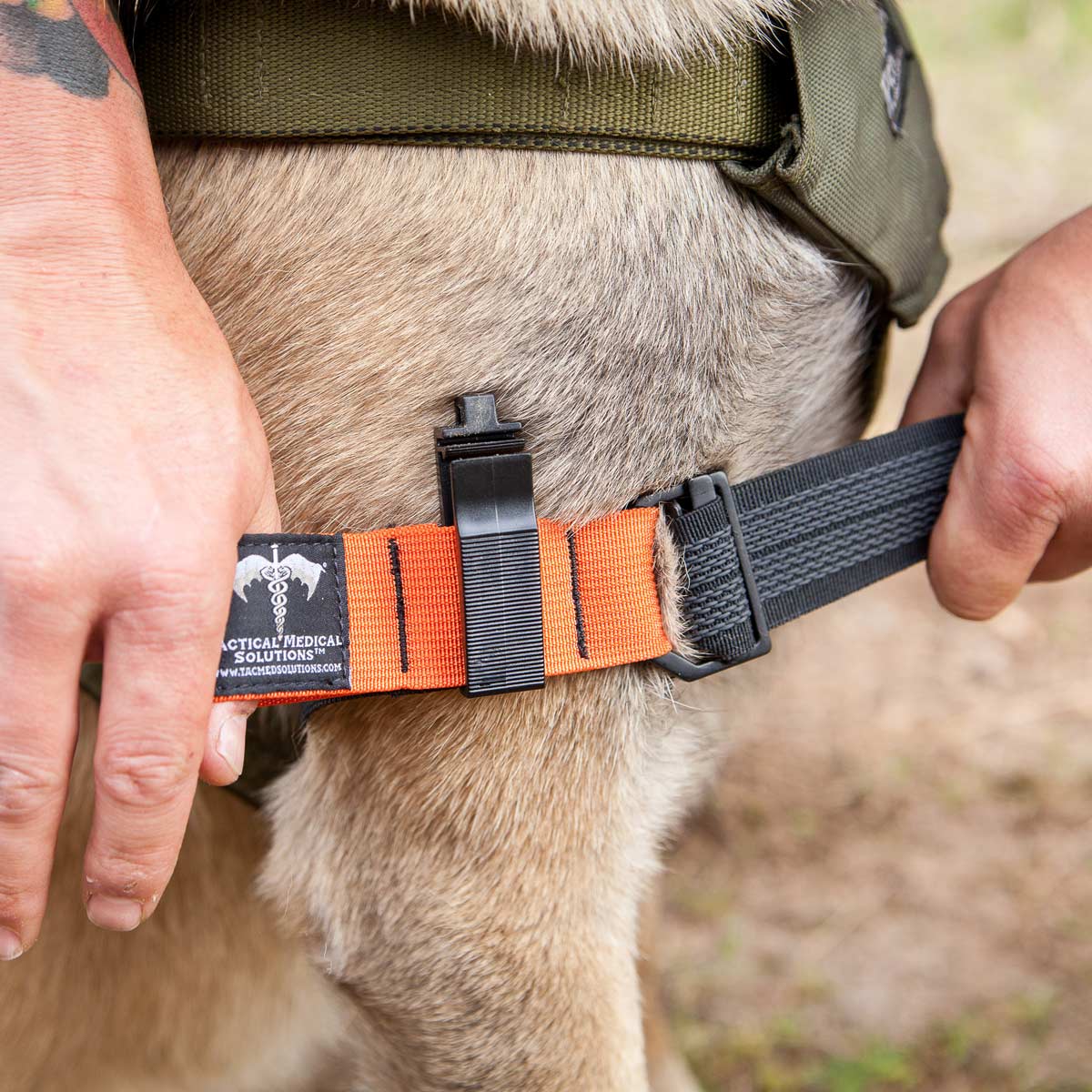 person applying tourniquet to a dog